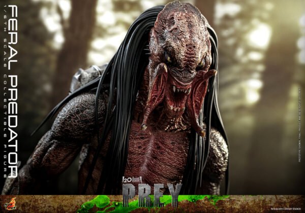 Pre Order HOT TOYS 1/6 TMS114 FERAL PREDATOR - Image 5
