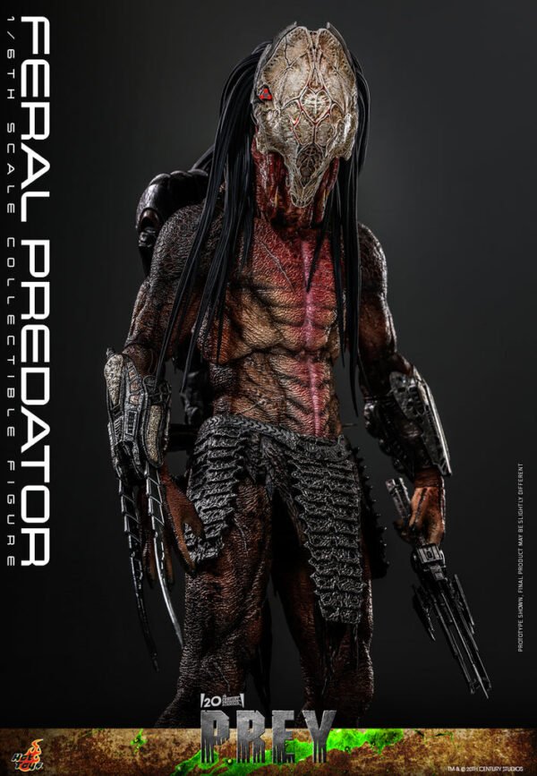 Pre Order HOT TOYS 1/6 TMS114 FERAL PREDATOR - Image 8