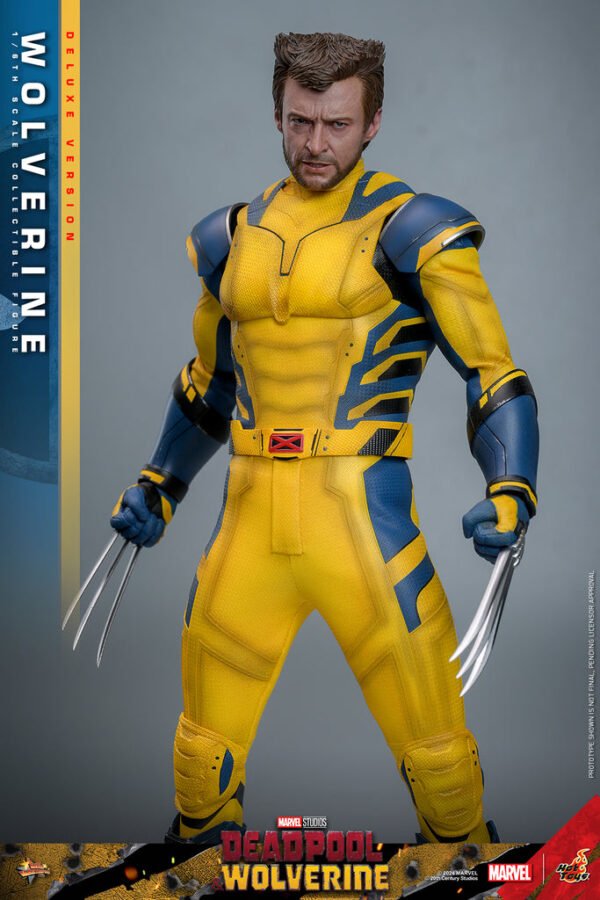 Pre Order HOT TOYS 1/6 MMS754 X-MEN DEADOOL AND WOLVERINE - DELUXE VERSION - Image 3