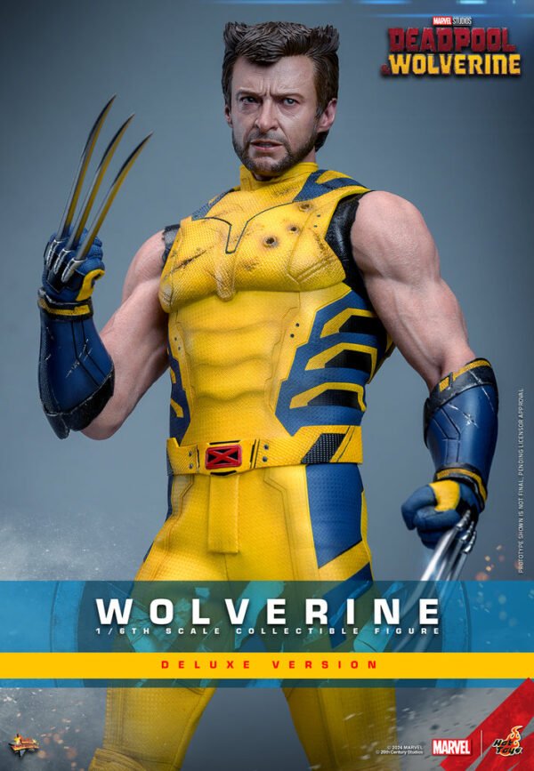 Pre Order HOT TOYS 1/6 MMS754 X-MEN DEADOOL AND WOLVERINE - DELUXE VERSION
