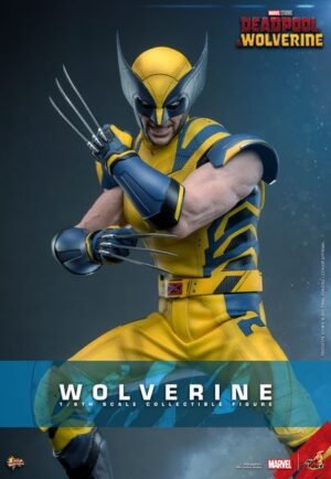 Pre Order HOT TOYS 1/6 MMS753 X-MEN DEADPOOL AND WOLVERINE - REGULAR VERSION