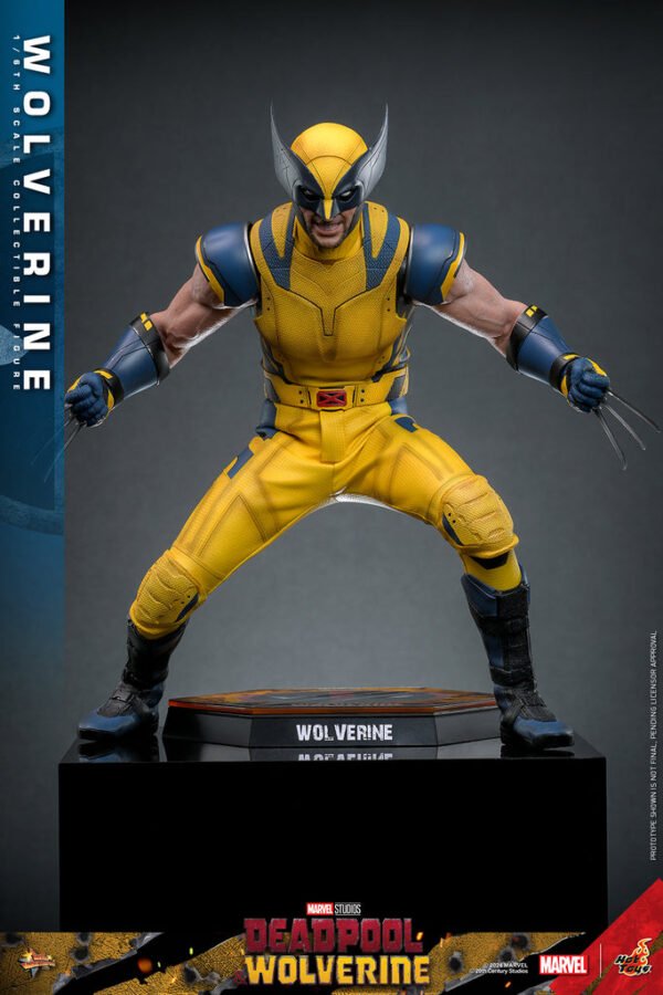 Pre Order HOT TOYS 1/6 MMS753 X-MEN DEADPOOL AND WOLVERINE - REGULAR VERSION - Image 2
