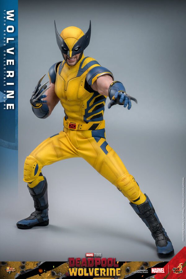 Pre Order HOT TOYS 1/6 MMS753 X-MEN DEADPOOL AND WOLVERINE - REGULAR VERSION - Image 3