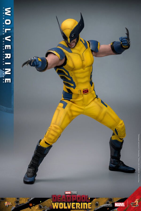 Pre Order HOT TOYS 1/6 MMS753 X-MEN DEADPOOL AND WOLVERINE - REGULAR VERSION - Image 4