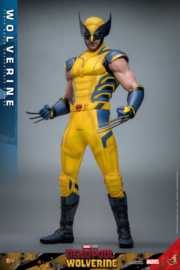 Pre Order HOT TOYS 1/6 MMS753 X-MEN DEADPOOL AND WOLVERINE - REGULAR VERSION - Image 5