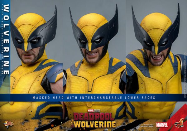 Pre Order HOT TOYS 1/6 MMS753 X-MEN DEADPOOL AND WOLVERINE - REGULAR VERSION - Image 7