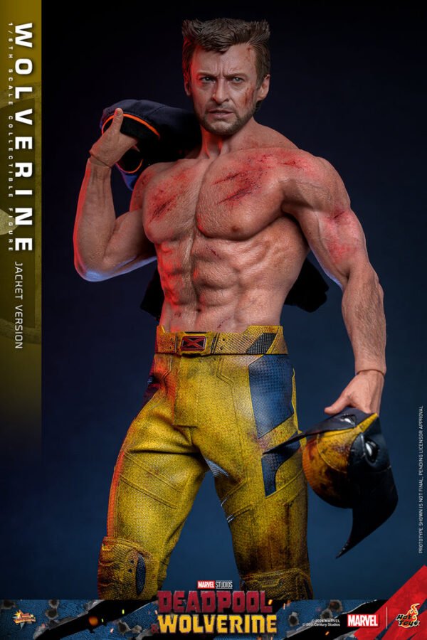 Pre Order HOT TOYS 1/6 MMS756 WOLVERINE JACKET VERSION - Image 2