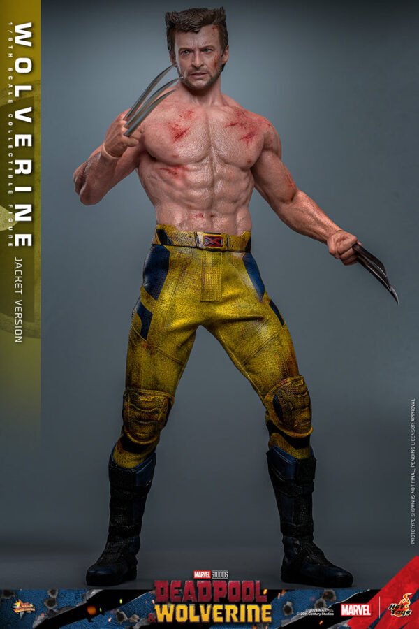 Pre Order HOT TOYS 1/6 MMS756 WOLVERINE JACKET VERSION - Image 5