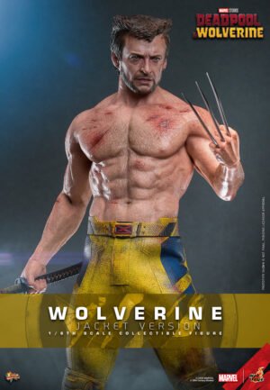 Pre Order HOT TOYS 1/6 MMS756 WOLVERINE JACKET VERSION
