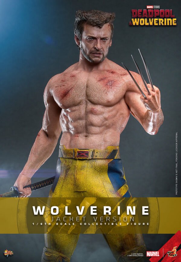 Pre Order HOT TOYS 1/6 MMS756 WOLVERINE JACKET VERSION