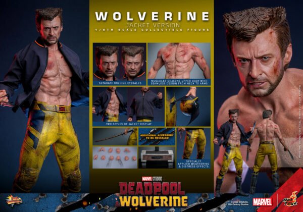 Pre Order HOT TOYS 1/6 MMS756 WOLVERINE JACKET VERSION - Image 8