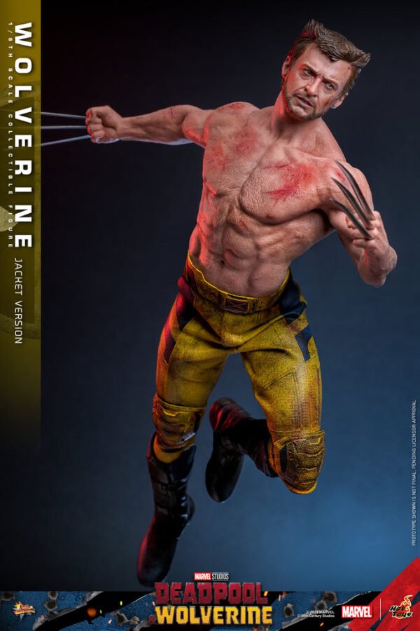 Pre Order HOT TOYS 1/6 MMS756 WOLVERINE JACKET VERSION - Image 6