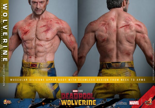 Pre Order HOT TOYS 1/6 MMS756 WOLVERINE JACKET VERSION - Image 7