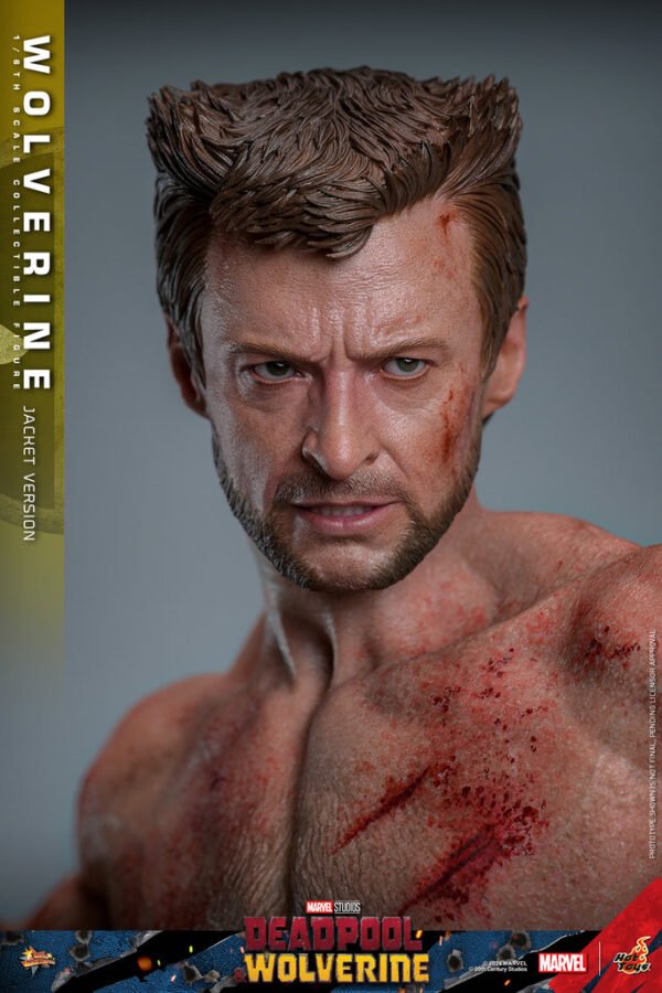 Pre Order HOT TOYS 1/6 MMS756 WOLVERINE JACKET VERSION - Image 4