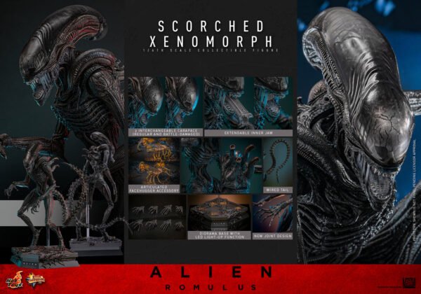 Pre Order HOT TOYS 1/6 MMS784 SCORCHED XENOMORPH - Image 10