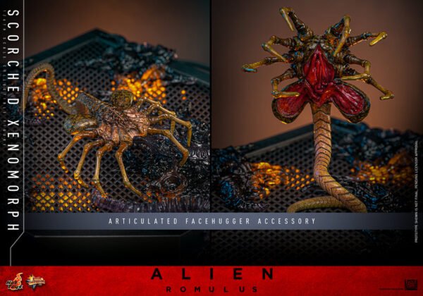 Pre Order HOT TOYS 1/6 MMS784 SCORCHED XENOMORPH - Image 8