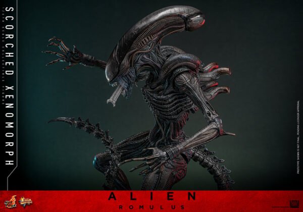 Pre Order HOT TOYS 1/6 MMS784 SCORCHED XENOMORPH - Image 6