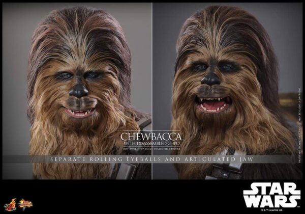 Pre Order HOT TOYS 1/6 MMS766 CHEWBACCA - Image 3