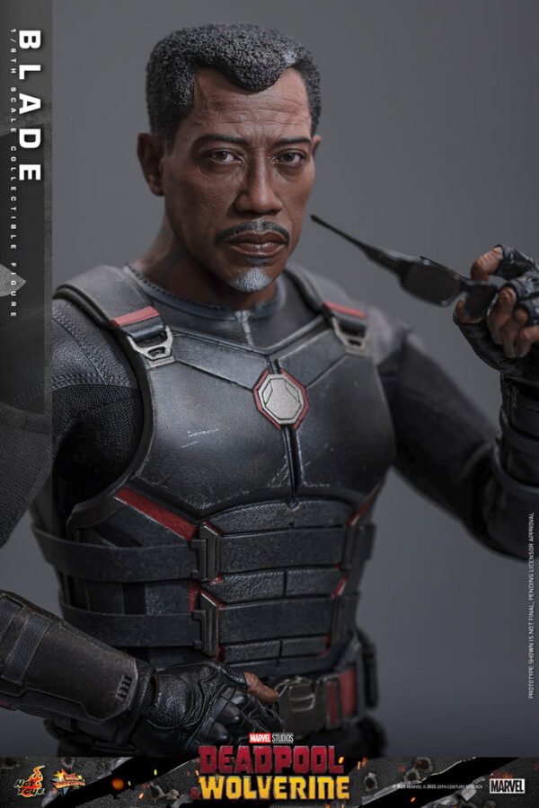 Pre Order HOT TOYS 1/6 MMS791 BLADE - Image 6