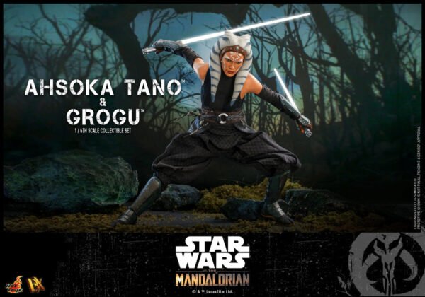 HOT TOYS 1/6 DX21 AHSOKA TANO & GROGU - Image 5