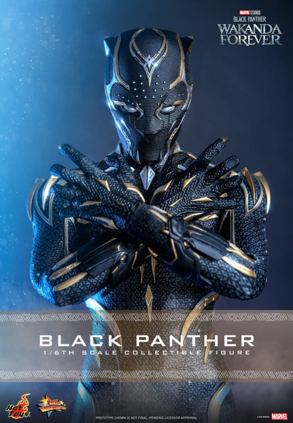 HOT TOYS 1/6 MMS675 WAKANDA FOREVER BLACK PANTHER - Image 4