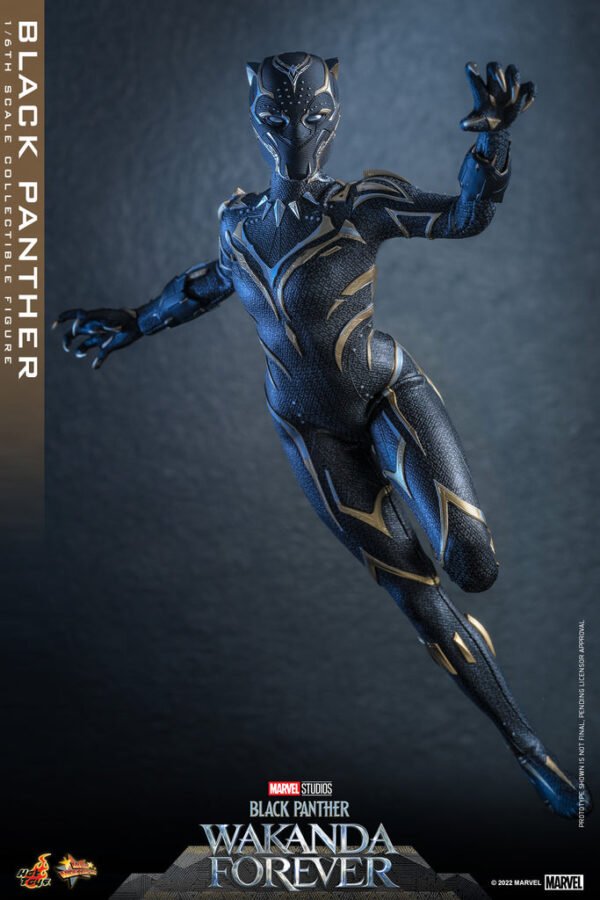HOT TOYS 1/6 MMS675 WAKANDA FOREVER BLACK PANTHER - Image 6